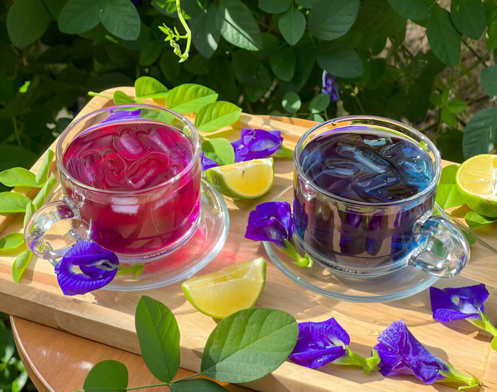 wedang talang raminten