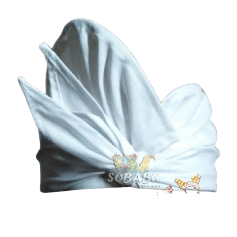 jenis-jenis udeng polos